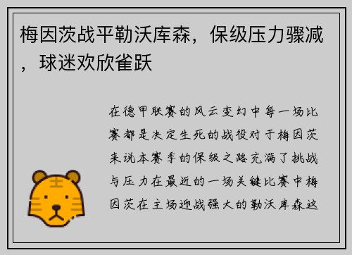 梅因茨战平勒沃库森，保级压力骤减，球迷欢欣雀跃