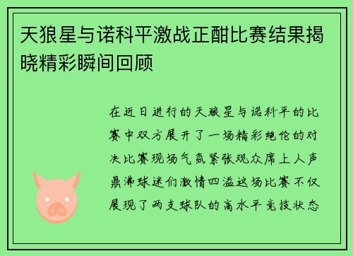 天狼星与诺科平激战正酣比赛结果揭晓精彩瞬间回顾
