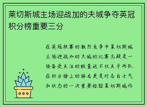 莱切斯城主场迎战加的夫城争夺英冠积分榜重要三分