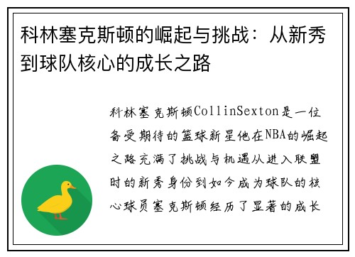 科林塞克斯顿的崛起与挑战：从新秀到球队核心的成长之路