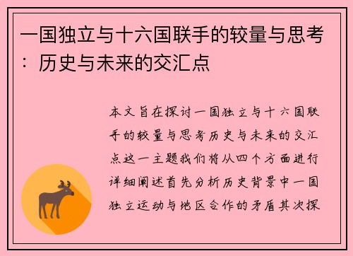 一国独立与十六国联手的较量与思考：历史与未来的交汇点