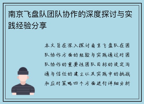 南京飞盘队团队协作的深度探讨与实践经验分享